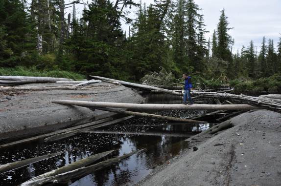 Praticando o equilíbrio na trilha de Metlakatla, na área de Prince Rupert, na British Columbia, oeste do Canadá